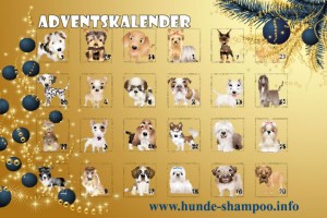 Adventsalender-Hund