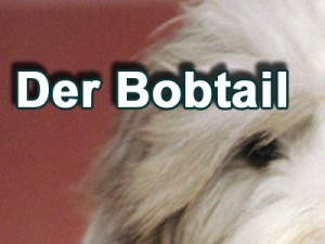 Bobtail