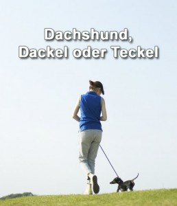 Dackel