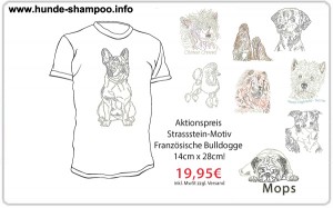 T-Shirt-Aktion bis 30.01.2013