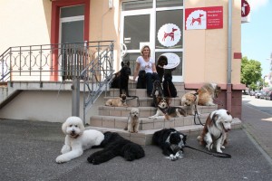 Hundesalon Offenburg