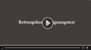 Rettungshunde-Eignungstest