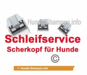 Schleifen Service